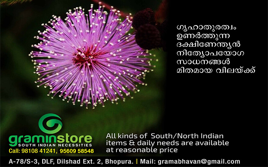 Gramin Store